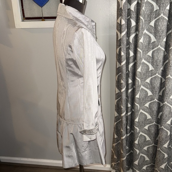 Vintage 1960’s Muted Silver Taffeta Mini Dress - Picture 8 of 12